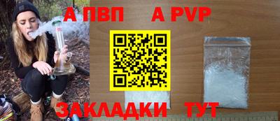 прущие грибы Нальчик