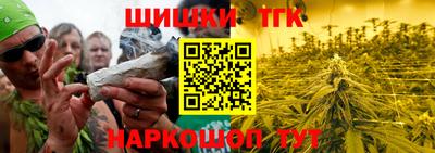 прущие грибы Нальчик