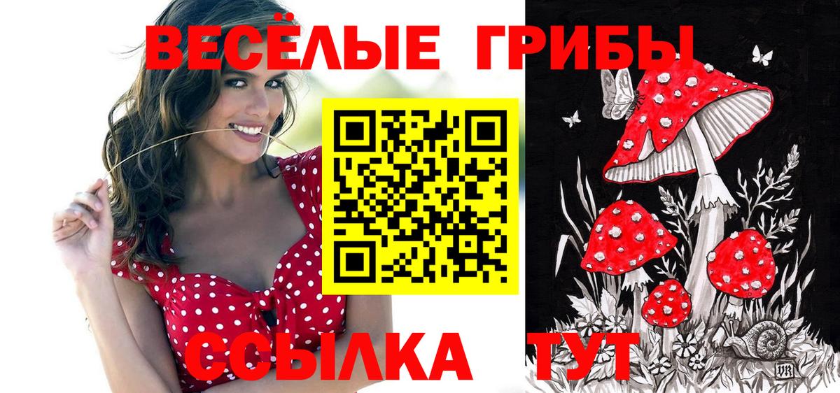 Галлюциногенные грибы Cubensis  Галлюциногенные грибы GOLDEN TEACHER  Вход с VPN  Сыктывкар 