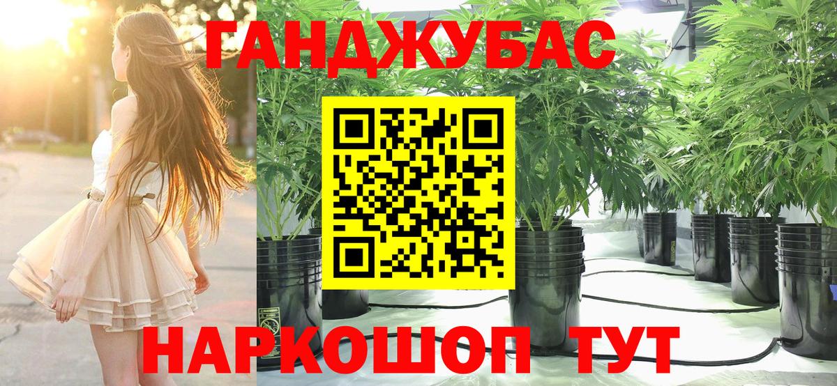 Шишки марихуана семена Сыктывкар